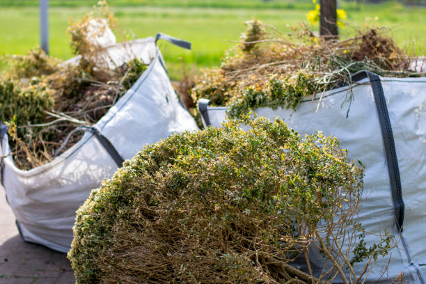 Best Junk Removal Near Me  in Clementon, NJ
